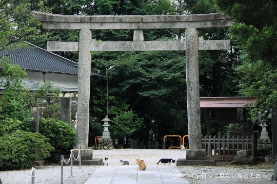 猫神社