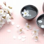 花見の季節 自転車散歩で自分流に近場のながら花見はいかが？