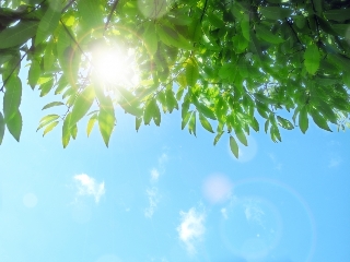 断捨離日和の空