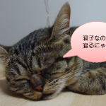 WordPressのプラグインで吹出しを使って会話風に