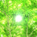 断捨離な日々　寄付箱にためたものの整理