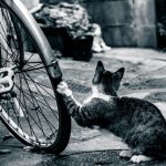 断捨離な日々　車の断捨離のメリット