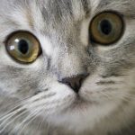 目の疲れに効果|自分で作る目を温めるホットアイマスクの簡単な作り方