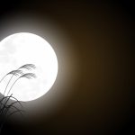 2020年～の十三夜はいつ？後の月や栗の月豆の月の由来と月見の過し方