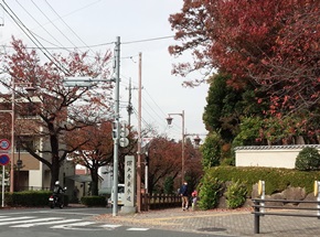 深大寺東参道