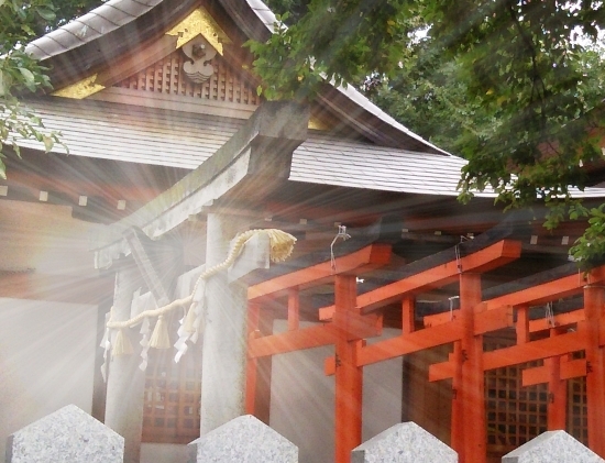 東京都下の南多摩エリアにある神社寺院一覧　初詣は地元に行きませんか