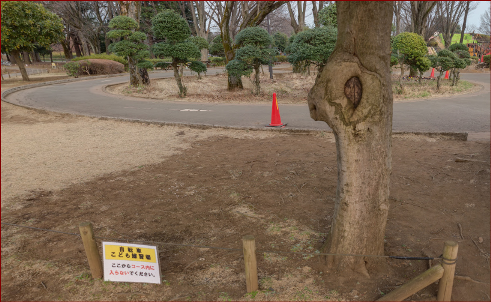 自転車練習場