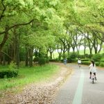 小金井公園で自転車練習 乗れたらサイクリングコースや広い敷地探索