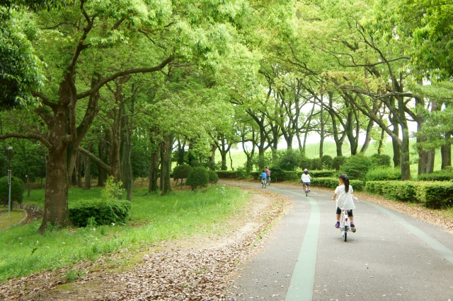 小金井公園で自転車練習 乗れたらサイクリングコースや広い敷地探索