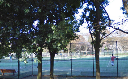 スポーツするなら小金井公園のスポーツ施設 テニスも野球もバスケも 思いだし にっき