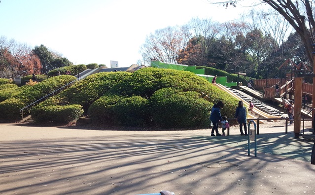 小金井公園の自然の中遊具で遊ぼう　アスレチックやソリにふわふわドーム
