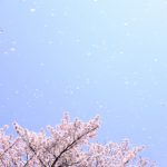 小金井公園まったり散策 桜の園とSL展示場そして雑木林