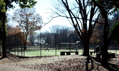 スポーツするなら小金井公園のスポーツ施設 テニスも野球もバスケも 思いだし にっき