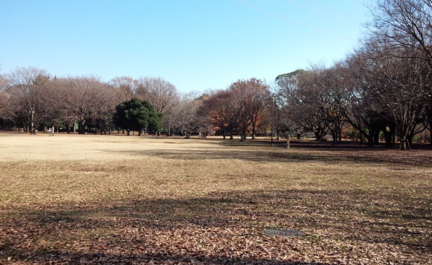 小金井公園ぶらり散策 アクセスと園内地図