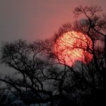 立春や春分とは？どうやって決まるの？春分と秋分とよぶのはなぜ？