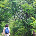 トレッキングとハイキングとウォーキングはどう違う?道具を揃える前に