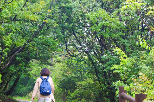 トレッキングとハイキングの違い　ウォーキングとはどう違う？道具を揃える前に知っておこう！