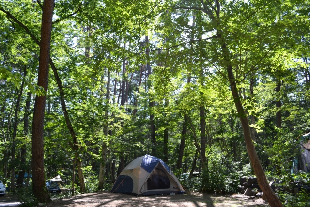 川遊びをおもいっきり楽しめるおすすめのキャンプ場紹介　全国版