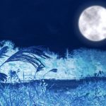 十五夜のお月見にまつわる話　月見団子やうさぎやすすきの？を解決！