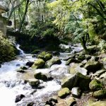 開湯伝説 動物が発見したといわれている日本の温泉 関東の巻