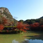 開湯伝説 動物が発見したといわれている日本の温泉 九州の巻