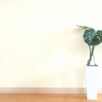 断捨離？こんまり？発想の転換で捨てるものからとっておくものへ
