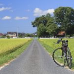 自転車に関する記事一覧