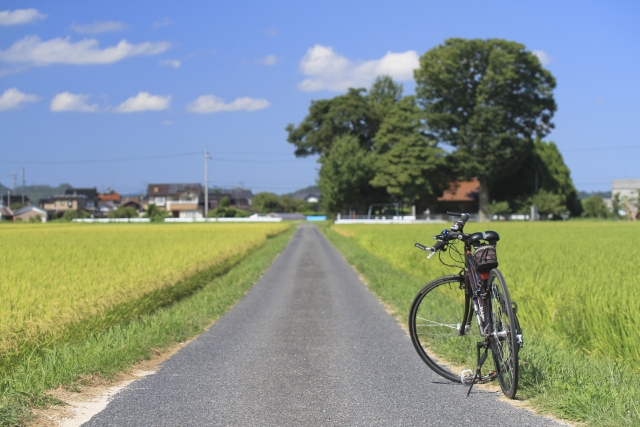 自転車に関する記事一覧