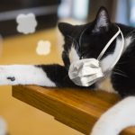 コロナに関する記事一覧